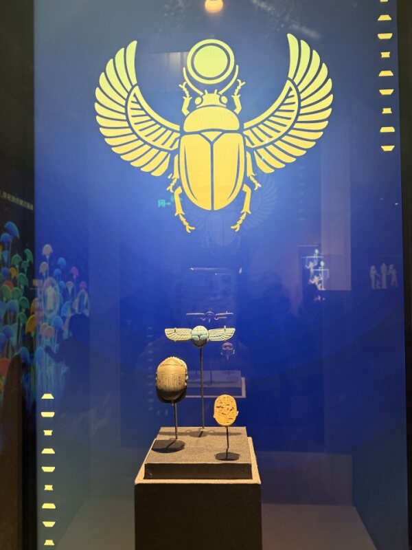 圣甲虫护符展品 Sacred scarab beetle amulets at the Gift of the Nile exhibit