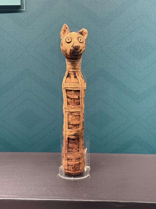 猫木乃伊 Ancient Egyptian cat mummy with linen wrapping