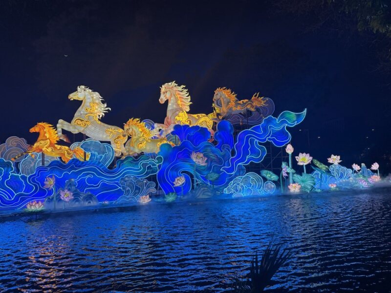 奔马灯组水面倒影