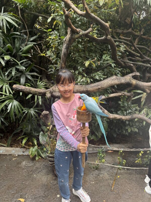 昭昭与蓝鹦鹉 Zhaozhao holding a blue parakeet