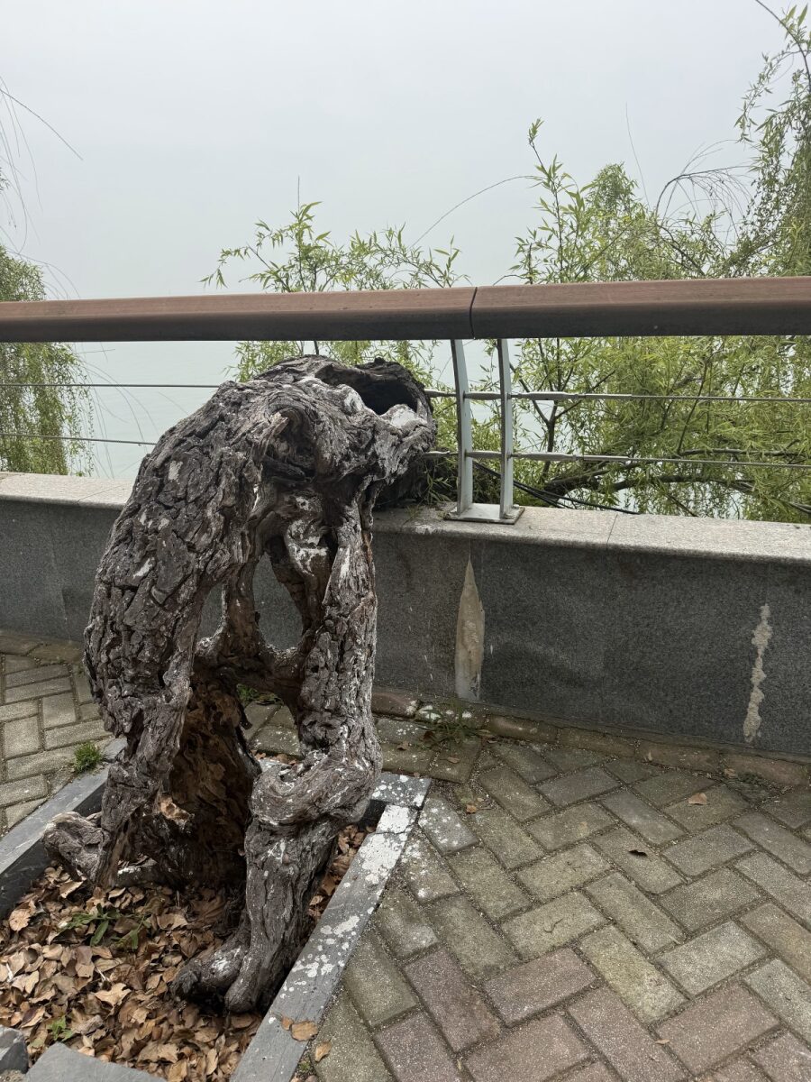 老树根雕塑 / Driftwood sculpture along the shore