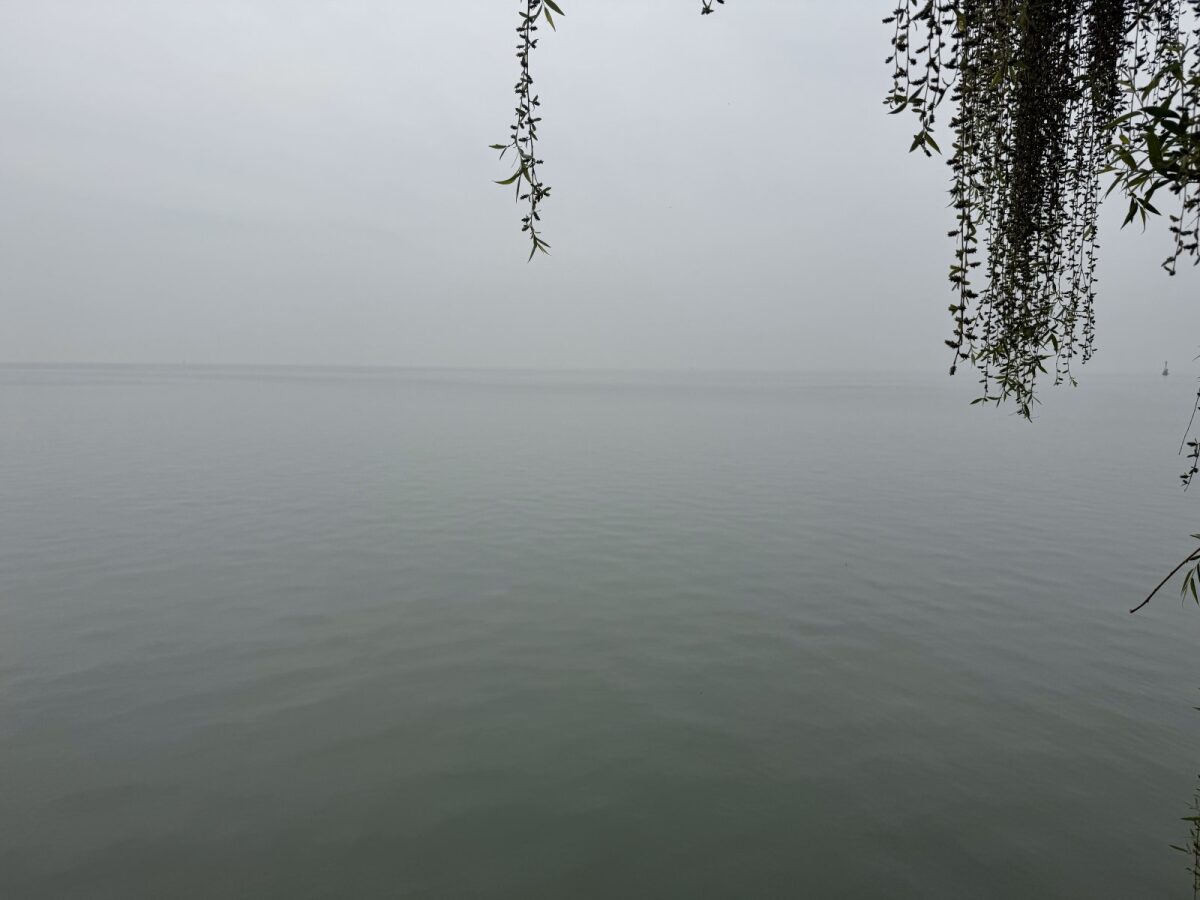 巢湖烟雨，垂柳依水 / Misty Chaohu with willow branches